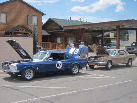 1991 Ford LTD Crown Victoria - Two classic American muscle cars, a blue Mustang and a tan Mustang, are parked with their hoods open at an outdoor car show.