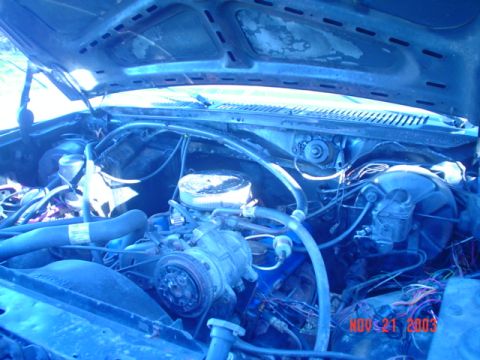 1986 Ford Bronco - The engine bay of a 1986 Ford Bronco reveals its V8 engine, hoses, and wiring, captured after a fire.