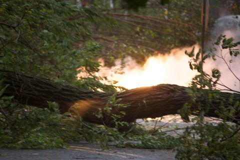 1990 Ford Bronco - A large tree has fallen across a road, obscuring the view of the sunset and creating a smoky haze.