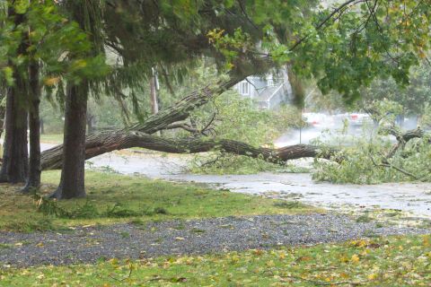 1990 Ford Bronco - Fallen tree blocking a road after a storm, with a house visible in the distance.