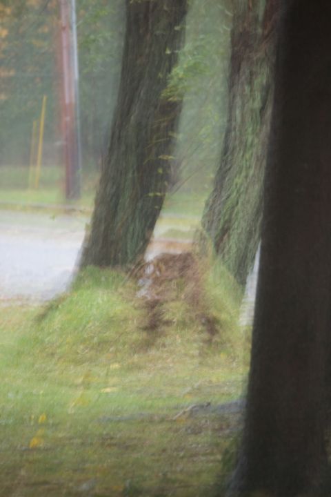1990 Ford Bronco - A blurry scene shows trees and a road, possibly during inclement weather.