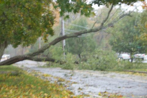 1990 Ford Bronco - A large tree has fallen across a road, blocking traffic and scattering debris.