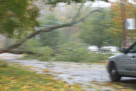 1990 Ford Bronco - A police car drives past a fallen tree and debris on a wet road, indicating a storm's aftermath.