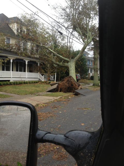 1990 Ford Bronco - A large tree has been uprooted, scattering debris across the street and yard after a storm.