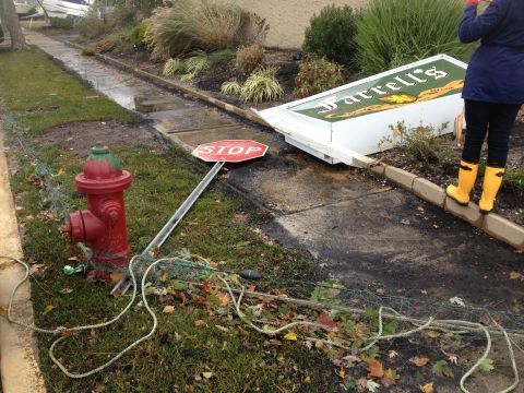 1990 Ford Bronco - A scene of destruction with a fallen sign and stop sign, a fire hydrant, and debris on the ground.