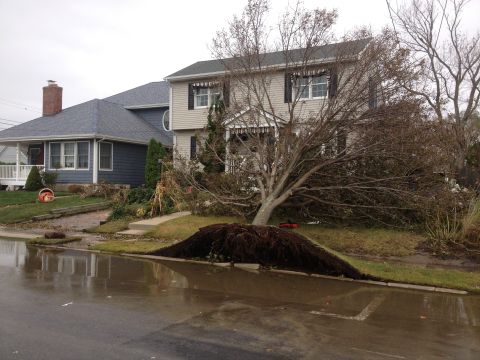 1990 Ford Bronco - A street scene shows the aftermath of a storm with a large tree uprooted and debris scattered across the flooded roadway.
