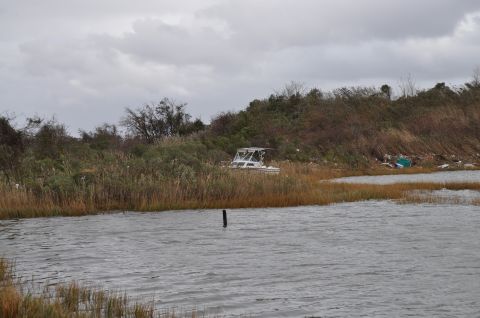 1990 Ford Bronco - A boat is stranded in tall reeds and brush near a body of water, likely due to storm damage.