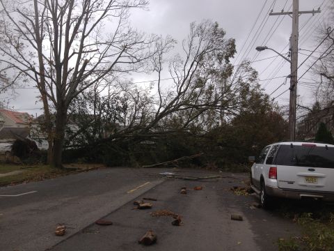 1990 Ford Bronco - A white SUV is parked on a street blocked by a fallen tree and debris.