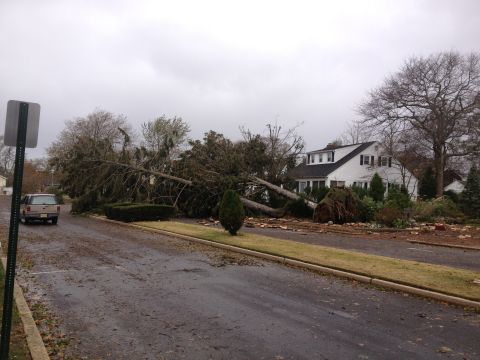1990 Ford Bronco - A tan SUV drives past a house damaged by a fallen tree after a storm.