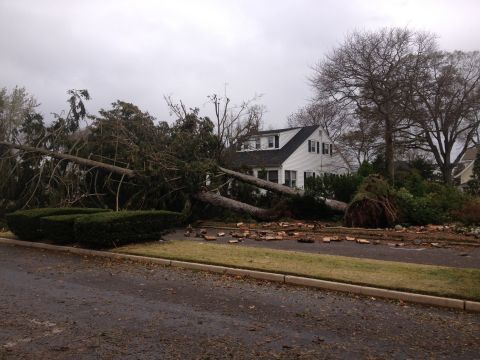1990 Ford Bronco - A residential street shows the aftermath of a severe storm with large trees downed across the property and road.