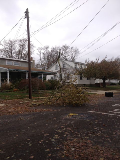 1990 Ford Bronco - Fallen tree branches and power lines litter a street after a storm.