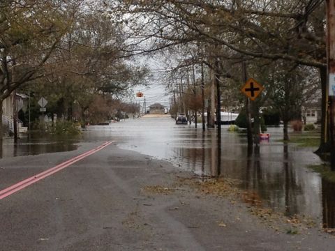 1990 Ford Bronco - A street is submerged in floodwaters, with trees lining the sides and a traffic light visible in the distance.