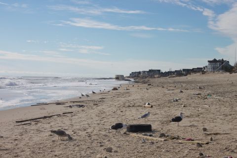 1990 Ford Bronco - Beach scene with debris and seagulls, showing distant buildings and ocean waves.