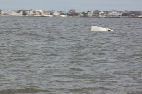 1990 Ford Bronco - A white object is partially submerged in the water with houses visible on the distant shore.