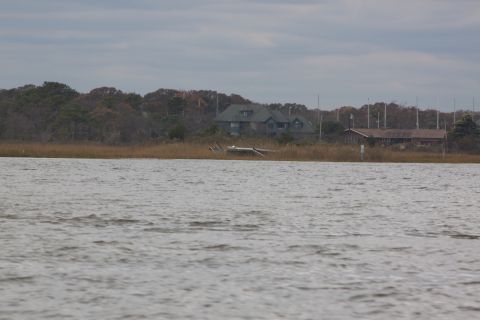 1990 Ford Bronco - Waterfront scene with houses and trees under a cloudy sky.
