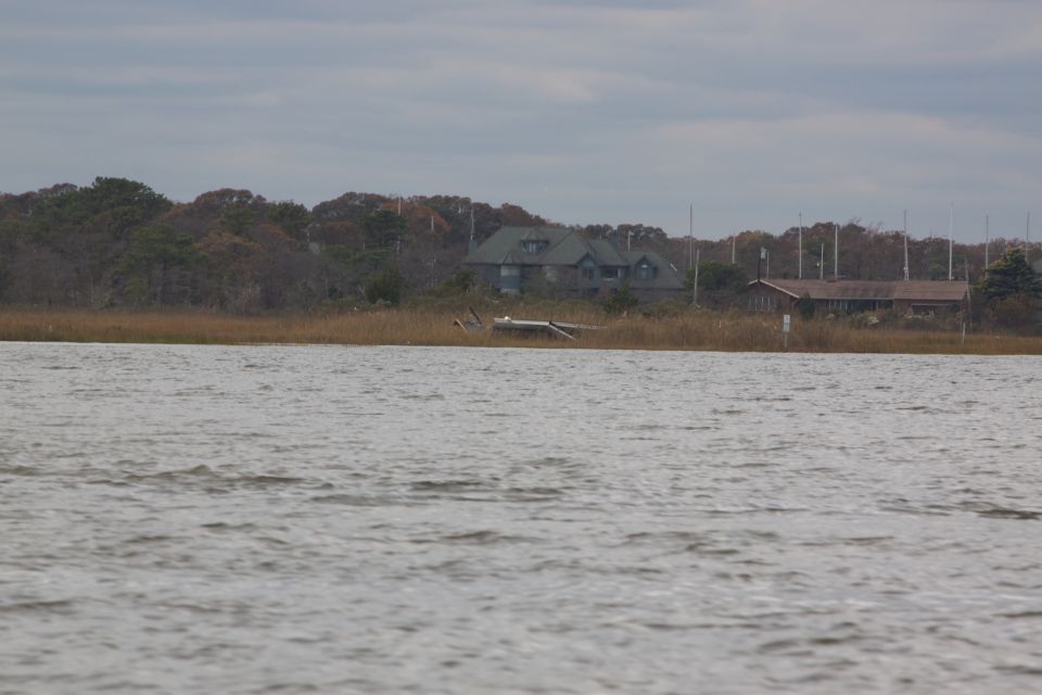 Waterfront scene with houses and trees under a cloudy sky