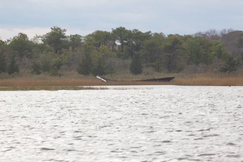 1990 Ford Bronco - A grounded vessel lies partially submerged in reeds, with a body of water in the foreground and a treeline behind.