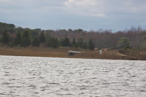 1990 Ford Bronco - A white boat on a trailer sits in a marshy area near trees and a body of water.