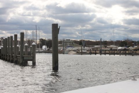 1990 Ford Bronco - Boats are docked at a marina on a cloudy day. The water is choppy.