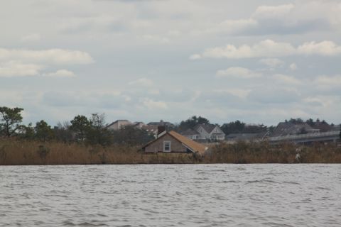 1990 Ford Bronco - Houses submerged in water behind tall marsh grass, with a bridge visible in the background under a cloudy sky.
