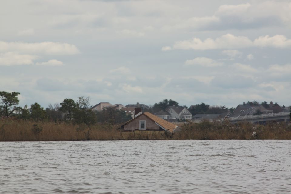 Flooded houses behind marshland with a bridge in the distance