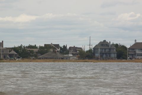 1990 Ford Bronco - Houses line the shore of a body of water with marshy vegetation in the foreground.