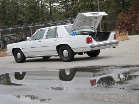 1991 Ford LTD Crown Victoria - White 1991 Ford Crown Victoria LTD sedan with its trunk open, reflecting in a puddle on the pavement.