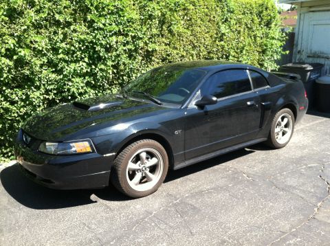 2001 Ford Mustang “The Mustang”