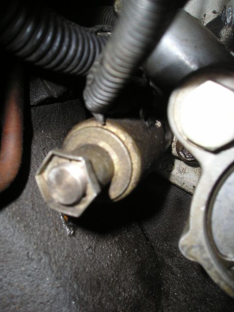 1997 Ford F-250 - Oil pressure sensor detail, likely from an engine bay.
