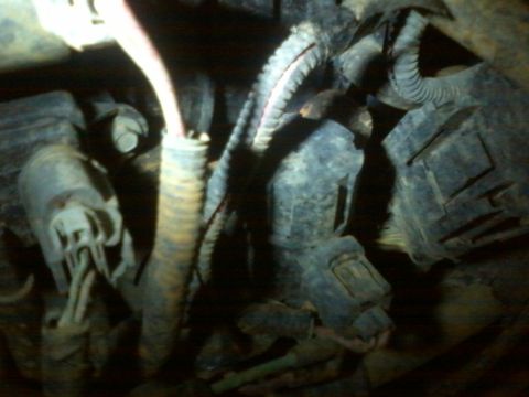 1993 Ford F-150 - Close-up view of an engine's wiring harness, showing various connectors and protective conduits.