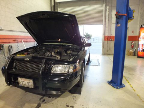 2003 Ford Crown Victoria - Black sedan with raised hood and EVIL VIC plate beside a blue two-post lift near the open bay.