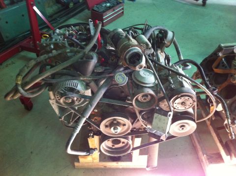 1986 Ford Bronco - This engine assembly is shown with various hoses, belts, and pulleys connected.