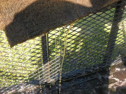 1994 Ford Bronco - To clean carpet I hang it up and pressure wash it.The water running off the carpet turns brown and even black at times.