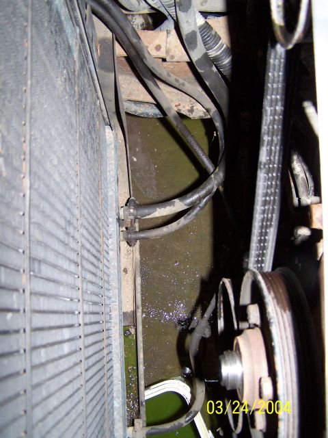 1986 Ford Bronco - Radiator, hoses, and belts visible in engine bay, with fluid on the ground.