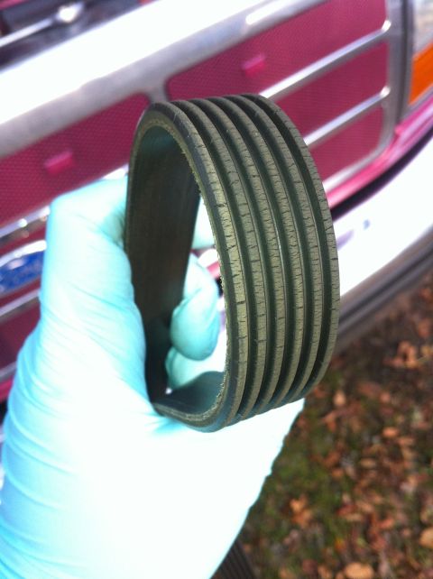 1992 Ford F-150 - A gloved hand holds a serpentine belt in front of a vehicle's grille.