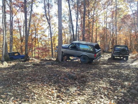 1986 Ford Bronco - A two-tone Ford Bronco navigates a wooded trail with another SUV in the background.