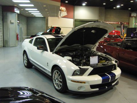 2007 Ford Mustang - A white 2007 Ford Mustang Shelby GT500 is displayed with its hood open, revealing the engine and distinctive blue racing stripes on the fro…