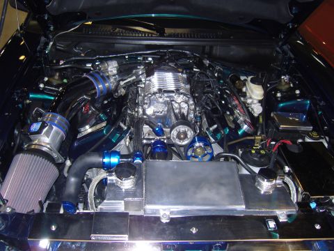 2007 Ford Mustang - Customized engine bay a prominent supercharger and aftermarket components.