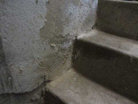 1968 Ford Mustang - A close-up view of concrete stairs and a wall with damaged plaster, suggesting a need for repair.