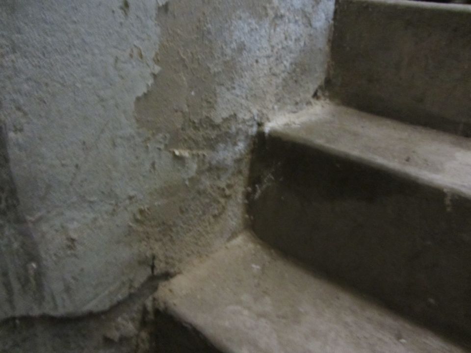 Concrete stairs with peeling plaster on the wall