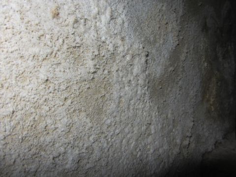 1968 Ford Mustang - Close-up view of a textured wall exhibiting significant mold or mildew growth, obscuring any underlying structure.