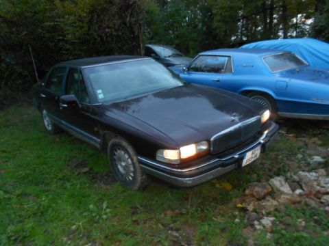 1991 Ford LTD Crown Victoria - Two cars are parked in a grassy area, with a third vehicle partially visible in the background.