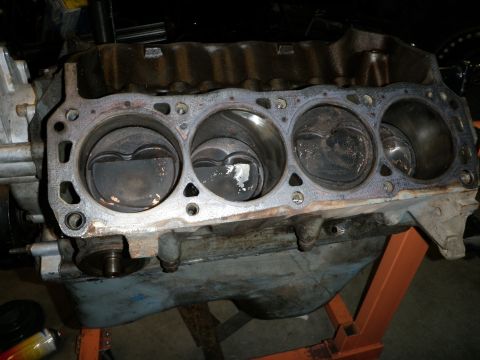 1961 International Scout 800 “Scugly”