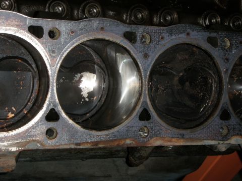 1961 International Scout 800 “Scugly”