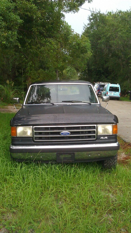 Front view of a dark-colored Ford F-Series truck, possibly an F-150 or F-250, parked on grass. Other vehicles are visible in the background