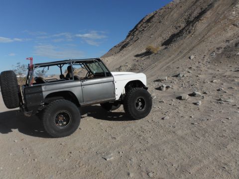 1979 Ford Bronco - This modified 1979 Ford Bronco is equipped with a roll cage and spare tire, ready for off-road adventures.