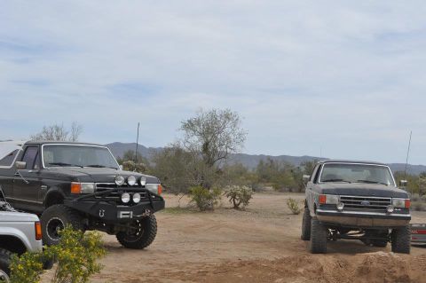 1991 Ford Bronco - Two Ford trucks, including a 1991 Bronco, are parked in a dry, desert environment under a cloudy sky.