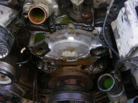 1996 Ford Bronco - Close-up view of a leaking engine water pump, showing green coolant.