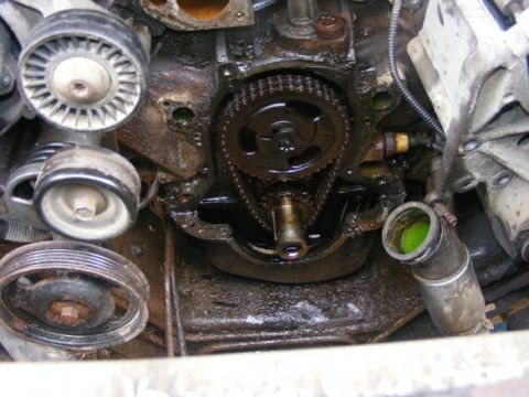 1996 Ford Bronco - Close-up view of engine timing chain, gears, and related components.