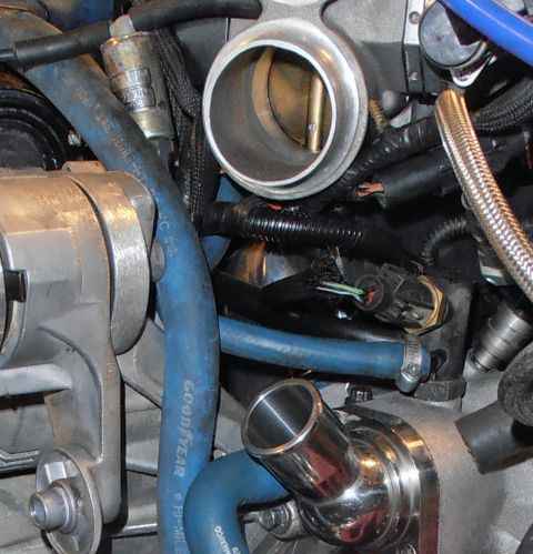 1990 Ford Bronco - Close-up of an open throttle body bore surrounded by blue Goodyear coolant hoses, braided lines and a chrome intake tube.